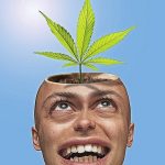 marijuana pixabay